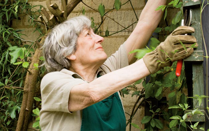 Activ-Zen - Présence Verte